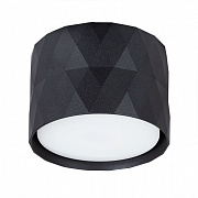 Светильник потолочный  A5552PL-1BK FANG Arte Lamp