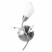 Бра MW-Light Нежность 1*60W E14 220 V