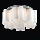Люстра STLuce SL116.502.06