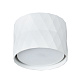 Светильник потолочный  A5552PL-1WH FANG Arte Lamp