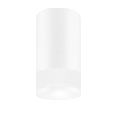 Спот ART GLASS GU10/MR16 белый  55*100
