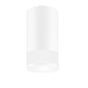 Спот ART GLASS GU10/MR16 белый  55*100