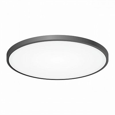 Citilux Бейсик CL738501V Светильник накладной Чёрный