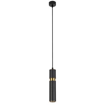 ARTE LAMP Подвесной светильник RAN A3145SP-1BK