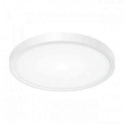 Citilux Бейсик CL738240V Светильник накладной Белый