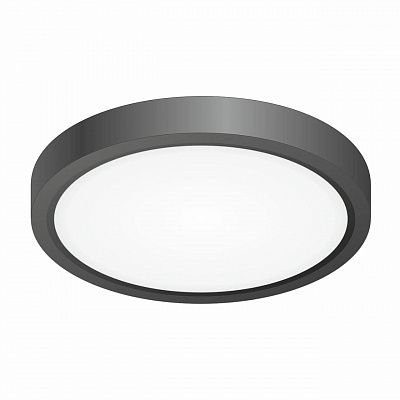 Citilux Бейсик CL738121N Светильник накладной Чёрный