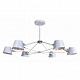 Люстра Modern Eimer 1513-6p