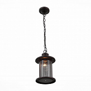 Светильник уличный подвесной ST-Luce SL080.403.01 Темный кофе/Прозрачный