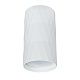 Светильник потолочный  A5557PL-1WH FANG Arte Lamp