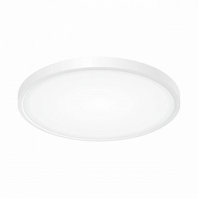 Citilux Бейсик CL738320V Светильник накладной Белый