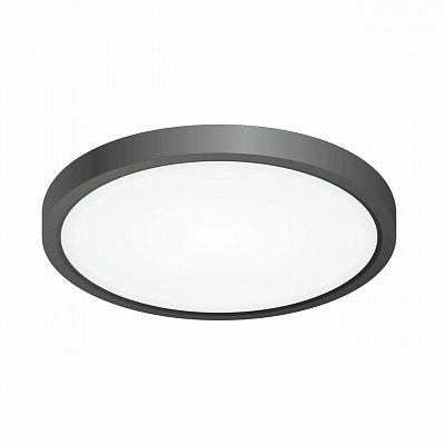 Citilux Бейсик CL738181V Светильник накладной Чёрный