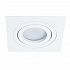ARTE LAMP TARF A2168PL-1WH Светильник