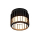 ARTE LAMP A8031PL-1BK ATRIA Светильник