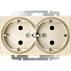 Werkel W1172010 Розетка двойная с заземлением  (шампань рифленый)