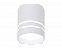 Ambrella TN240 WH/S белый/песок LED 4200K 12W D80*100 Светильник накладной