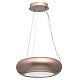 REGENBOGEN Фьюжен 1*20W LED 220 V Люстра