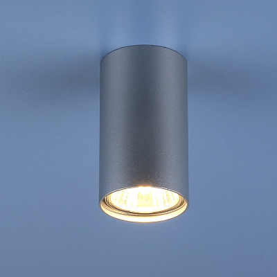 Elektrostandard 1081 (5257)  GU10 SL серебро Спот
