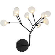 Kink Light 07521-9,19(21) Бра Ветта черный (проз.плафоны) d42 h38 G4 9*2W