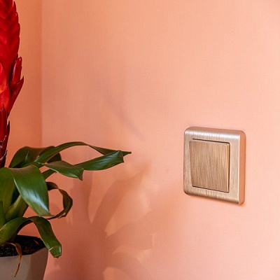 Werkel W1110010 Выключатель одноклавишный (шампань рифленый)