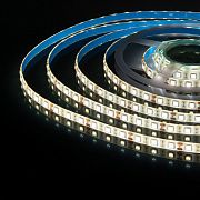 14,4W холодный белый 6500K LED5050/60 760Lm/м 12V 5м IP65