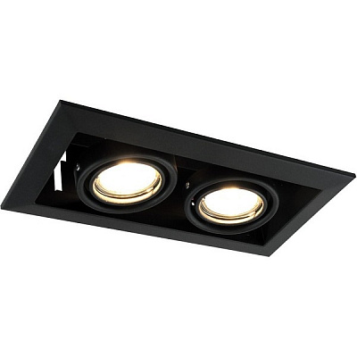ARTE LAMP A5941PL-2BK Светильник
