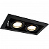 ARTE LAMP A5941PL-2BK Светильник
