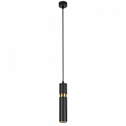 ARTE LAMP Подвесной светильник RAN A3145SP-1BK