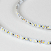 SWG 9.6W холодный белый SMD2835/120 24V 5м (1500лм/м) IP20