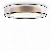 Maytoni Потолочный светильник FR6005CL-L48G Zoticus