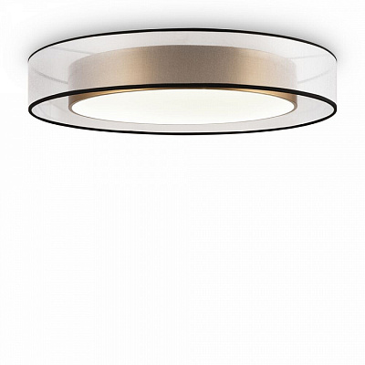 Maytoni Потолочный светильник FR6005CL-L48G Zoticus