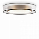 Maytoni Потолочный светильник FR6005CL-L48G Zoticus