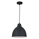 ARTE LAMP A2055SP-1BK Подвес