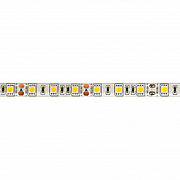 Ecola LED strip PRO 14.4W/m 12V IP65 10mm 60Led/m RGB разноцветная светодиодная лента 50м