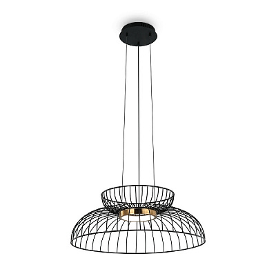Maytoni Подвес FR5398PL-L6B Citrus LED 8 W