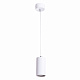 ARTE LAMP A1516SP-1WH CANOPUS Подвес