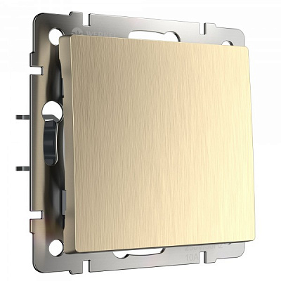 Werkel W1110010 Выключатель одноклавишный (шампань рифленый)