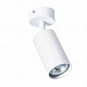 ARTE LAMP A3216PL-1WH Спот