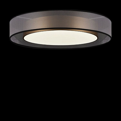 Maytoni Потолочный светильник FR6005CL-L48G Zoticus