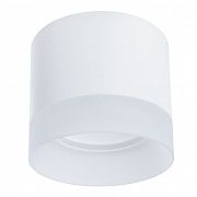 Светильник потолочный  Castor A5554PL-1WH Arte Lamp