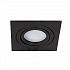 ARTE LAMP TARF A2168PL-1BK Светильник