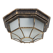 ARTE LAMP Уличный потолочный светильник PEGASUS A3121PF-1BN IP44