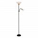 ARTE LAMP A9569PN-2BK Duetto Торшер