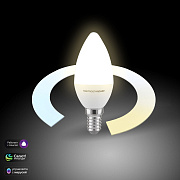 ES Умная светодиодная лампа 5W E14 3300-6500К DIM Smart