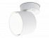 Ambrella  TA132 WH белый GX53 max 12W D79*134*D84 Светильник накладной поворотный c выключателем