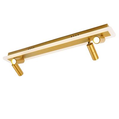 Спот TOMMY A2607PL-30GO ARTE LAMP