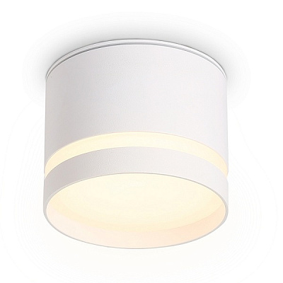 Ambrella Светильник накладной TN6571 WH белый IP44 GX53 max 15W D82*65