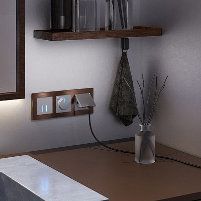 Werkel W1171206 Розетка влагозащищенная с защитной крышкой (серебряный)