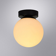 ARTE LAMP Настенно-потолочный светильник ALCOR A2224PL-1BK