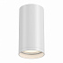 Потолочный светильник FOCUS S GU10 1x10Вт C052CL-01W Maytoni